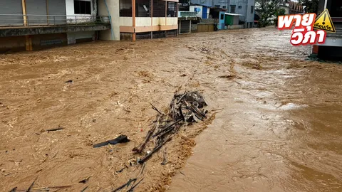 เชียงรายฝนตกตลอดคืน น้ำแม่สายทะลัก ชาวบ้านขนของหนีจ้าละหวั่น