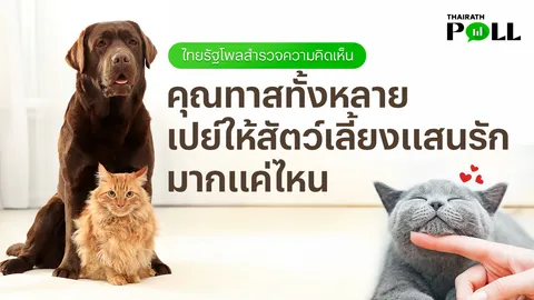 ชวนเปิดอกคุยภาษาทาส คุณเปย์สัตว์เลี้ยงเดือนละเท่าไหร่? 