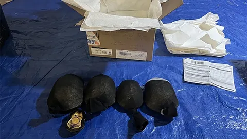 สหรัฐฯ จับชายจีน ซุกเต่า 850 ตัวใส่ถุงเท้า เตรียมส่งไปฮ่องกง