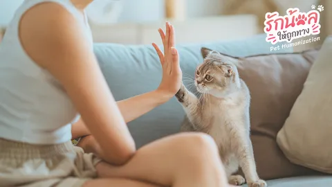 เทคนิคการฝึกสัตว์เลี้ยงง่าย ๆ ฉบับ Gen Z