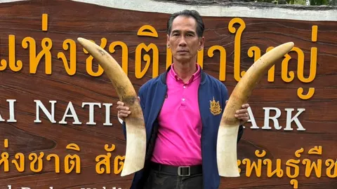 อุทยานเขาใหญ่ ยันทำตามระเบียบ กรณีจัดการซากช้าง "พลายขุนศึก" หลังถูกไฟฟ้าช็อต