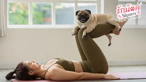 เมื่อลูกรักสี่ขา ขับเคลื่อนเศรษฐกิจยุคใหม่ เปิดธุรกิจน่าจับตา จากเทรนด์ Pet Humanization