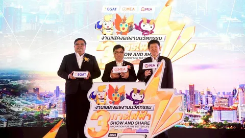 3 การไฟฟ้า จับมือโชว์ผลงานนวัตกรรมพลังงานใน งาน “Show and Share Innovation 2025” เพื่ออนาคตยั่งยืน