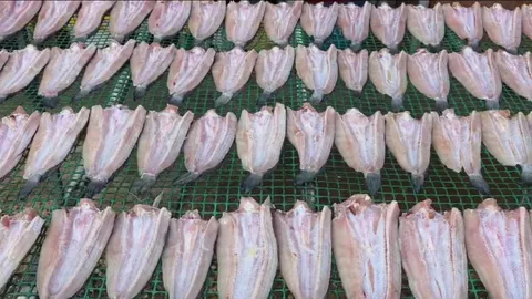 พ่อค้ายืนยัน "ปลาช่อน" ในตลาดโรงเกลือไม่ได้มาจาก "กัมพูชา" แต่นำเข้าจากเวียดนาม