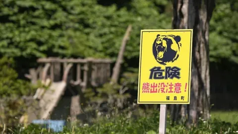 ตำรวจญี่ปุ่นเผย "เหยื่อถูกหมีทำร้าย" ที่แท้ถูกลูกชายสังหาร