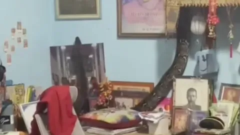 เจ้าของบ้านผวา "งูเหลือม" โผล่เลื้อยขึ้นหิ้งพระ ไม่พลาดซื้อ "เลขเด็ด" ลุ้นโชค