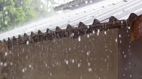 เตือนพายุ "หนองฟ้า" ฉบับที่ 8 ไทยมีฝนตกต่อเนื่อง ตกหนักถึงหนักมากหลายพื้นที่