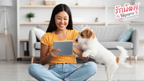 แนะนำ 5 แอปพลิเคชันสำหรับสัตว์เลี้ยงที่เหล่าทาสต้องมีไว้ติดเครื่อง