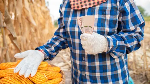 เงินเยียวยาเกษตรกร โอนตรงผ่านบัญชี ธ.ก.ส. เท่านั้น ย้ำอย่าหลงเชื่อมิจฉาชีพ