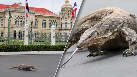 ทำเนียบฯ เหงา ห้องทำงานนายกฯ “อิ๊งค์” เก็บเอกสารหมดแล้ว ฮือฮาตัวเงินตัวทองโผล่