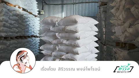 ราคาข้าวต่ำสุด 20 ปี