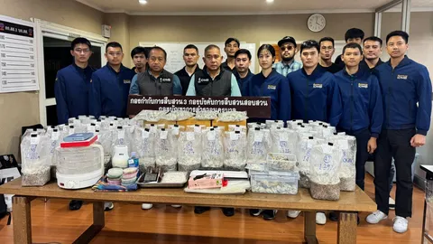 สืบนครบาล รวบหนุ่มวัย 25 ลักลอบขายเห็ดขี้ควายออนไลน์ ยึดของกลางมูลค่ากว่า 2.2 ล้าน