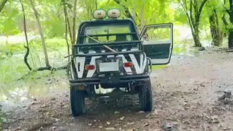 สยอง ฝูงสิงโตขย้ำคน ยังไม่ทราบชะตากรรม 