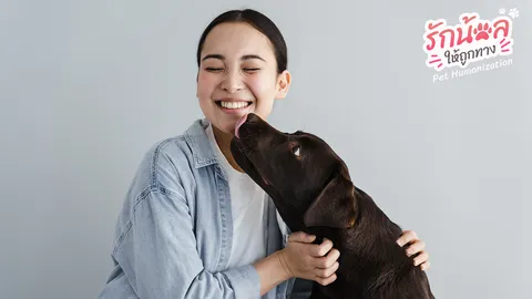 เลี้ยงน้องหมาให้ดี ไม่ใช่แค่รัก แต่ต้องเข้าใจ