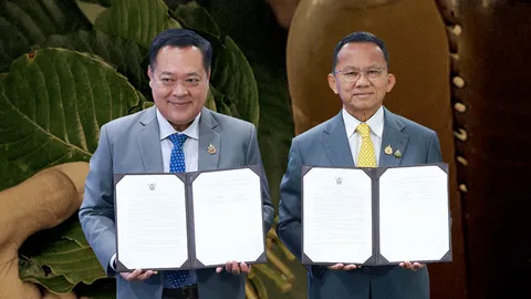 คุมเข้ม “กระท่อม” ยธ.-สธ. ประกาศห้ามขาย “ใบ-น้ำต้ม” ใกล้สถานศึกษา ฝ่าฝืนปรับ 5 หมื่น