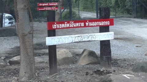 ซาฟารีเวิลด์ล้อมคอก ปิดโซนสิงโต อธิบดีอุทยานแฉ เคยพบเสือตะปบนักท่องเที่ยวเจ็บในสวนสัตว์หนึ่ง