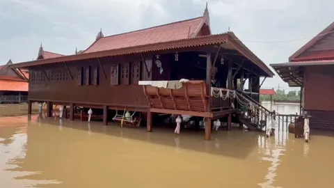 น้ำท่วมอยุธยา ชาวบ้านผวา มีคนเห็น "จระเข้" โผล่ใต้ถุนบ้าน
