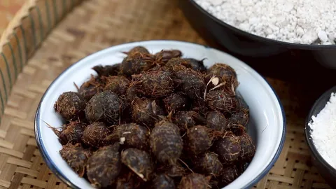 ขึ้นทะเบียน "แป้งแห้วนา" หนองกุลาพิษณุโลก สินค้า GI ใหม่ สร้างมูลค่าเพิ่ม