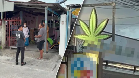 ชาวบ้านโวย กลิ่นกัญชารบกวน ตั้งแต่เช้ายันดึก เจ้าหน้าที่ลงตรวจหลายครั้ง ทำอะไรไม่ได้