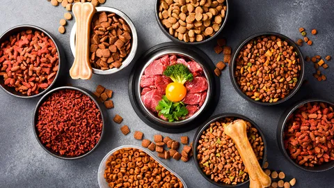 ไทยขึ้นแท่นอันดับ 2 โลก ส่งออกอาหารสุนัข-แมว เทรนด์คนรุ่นใหม่นิยมเลี้ยงสัตว์