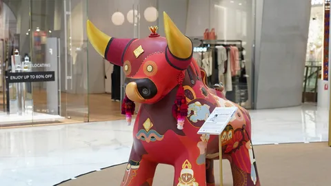 หา “กระทิง” ลุ้นตั๋วเปรู