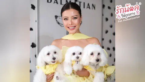 รวมดาราดังชาวไทยและต่างชาติ พ่อพระและนางฟ้าของน้องหมาน้องแมวจร