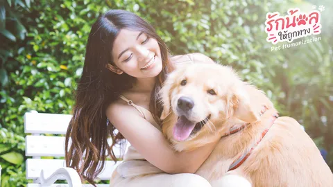 การกอดและภาษารักของสุนัข ความรักที่ต้องเรียนรู้และเข้าใจ