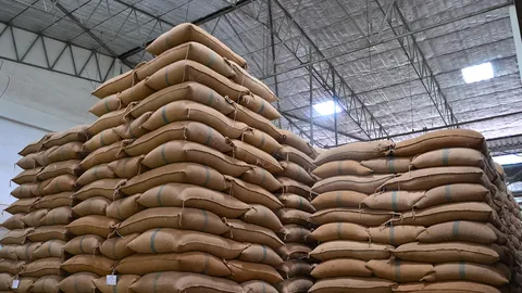 ส่งออกข้าวไทยช่วง 8 เดือน ปี 68 ลดลง เหตุผลผลิตข้าวโลกเพิ่ม ต่างประเทศชะลอนำเข้า