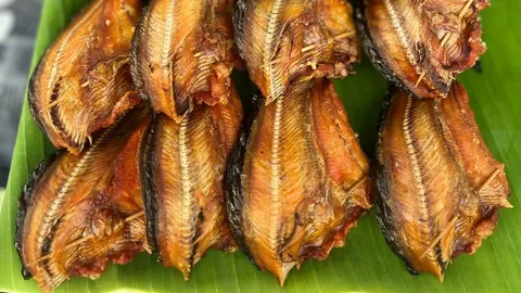 ข้าวเหนียวหัวหงอก–ปลาเค็ม “ณิชา” เมนูโบราณย่านวัดวงษ์ฆ้อง อยุธยา อิ่มเริ่มต้น 20 บาท