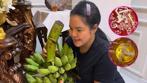 ฮาย อาภาพร เอาใจคอหวย ส่องชัดๆ เลขขันน้ำมนต์-เลขเครือกล้วย ตาดีได้ วันนี้รวยๆ