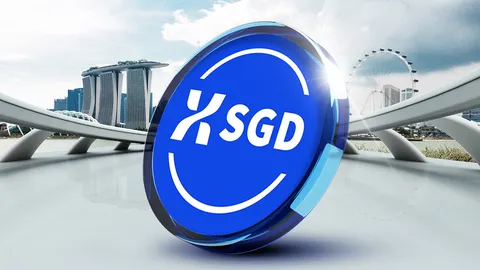 สิงคโปร์เปิดตัว “XSGD” Stablecoin ท้องถิ่น สแกนจ่ายได้จริง พร้อมดันเป็นสื่อกลางชำระเงิน-ชำระหนี้