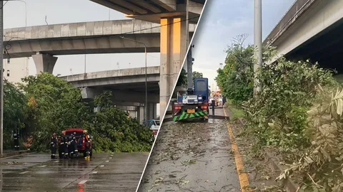 พายุฝนถล่ม กทม. ต้นไม้ล้มขวางถนน-บ้านพัง-ไฟดับ การจราจรเป็นอัมพาตหลายจุด