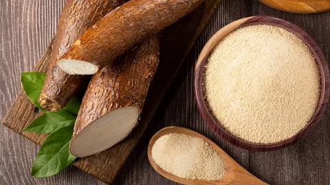 กรมการค้าต่างประเทศ ผลักดันมันสำปะหลังไทย บุกตลาดญี่ปุ่นสำเร็จ