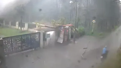 วงจรปิดนาที "พายุฝนลมแรง" ต้นไม้หักโค่นล้มฟาดเสาไฟฟ้า จยย.รอดชีวิตหวุดหวิด