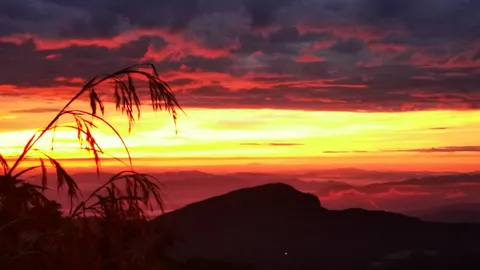 ดอยอินทนนท์เริ่มหนาวแล้ว เช้านี้อุณหภูมิ 12 องศาฯ ท้องฟ้าเปิด-น้ำค้างบนยอดหญ้า