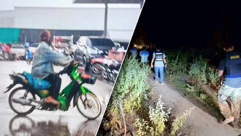 ปิดล้อมป่า 18 ไร่ จับหนุ่มยิงแฟนสาวดับกลางตลาด คนร้ายดวงดีหลบหนีได้