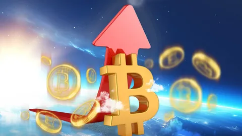 เปิดสาเหตุดันราคา Bitcoin ทำสถิติสูงสุดใหม่ มูลค่าทะลุ 125,000 ดอลลาร์สหรัฐฯ