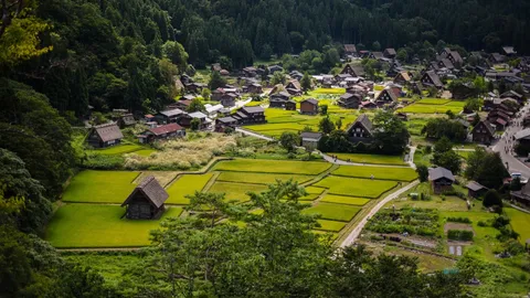 หมีป่าทำร้ายนักท่องเที่ยวสเปนบาดเจ็บกลางหมู่บ้านมรดกโลก "ชิราคาวาโกะ"