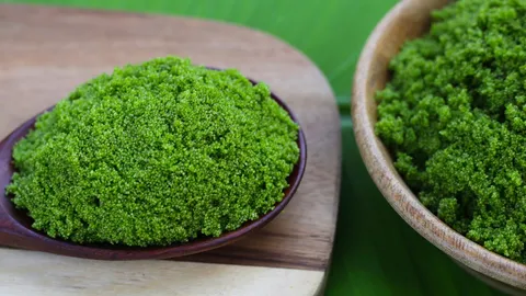 รู้จัก "ไข่ผำ" Green Caviar เมืองไทย ซูเปอร์ฟู้ดจิ๋วยอดฮิต มีประโยชน์อะไร ทำเมนูอะไรได้บ้าง