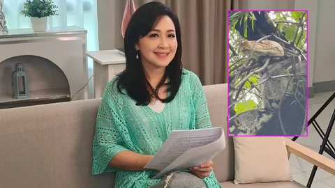 กวาง กมลชนก เจองูเหลือมเข้าบ้าน นอนบนต้นไม้อย่างสบายใจ ชาวเน็ตแห่ถามบ้านเลขที่