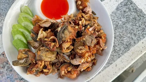 ปองอาหารป่าริมคลอง @ลำปลาทิว ร้านเล็กๆรสมือใหญ่ในตำนาน 20 ปี