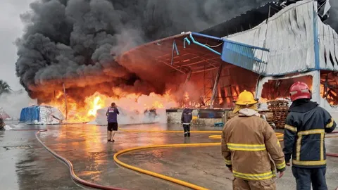ฟ้าผ่าไฟไหม้ โรงงานวอด อีกราย-เผา! โกดัง "สินค้า"