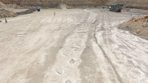 พบรอยเท้าไดโนเสาร์อายุ 166 ล้านปี ยาวกว่า 200 เมตรในเหมืองอังกฤษ