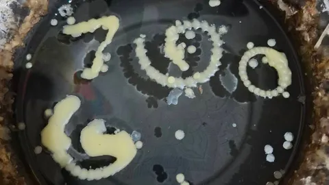 คอหวยขอส่อง "เลขเด็ดงวดนี้" จากคำชะโนด-ยอดเงินปากนาค ไปเสี่ยงโชค 16/10/68