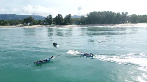 เปิดฤดู “เจ้ยเคย” แห่งอันดามัน วัตถุดิบจิ๋วที่ทำให้หม้อกะปิหอมทั้งพังงา