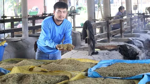 ข้าวเม่าแม่สุนาต กลิ่นหอมจากครกกระเดื่อง ต่อยอดภูมิปัญญา