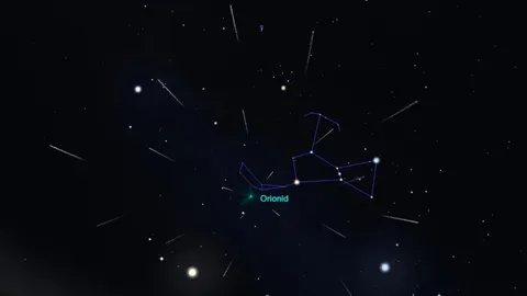 อย่าพลาดชม "ฝนดาวตกโอไรออนิดส์"  คืน 21 ถึงเช้า 22 ต.ค. มีโอกาสเห็นได้ทั่วฟ้า