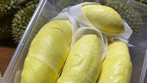 "ทุเรียนหมอนทองเขาบรรทัด" แชมป์โกยเงินฉ่ำ สินค้า GI ทำรายได้พุ่ง 4.6 หมื่นล้าน