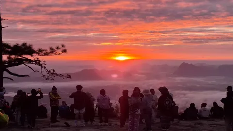 ภูกระดึง–ภูทอก–ภูเรือ วันหนาวแรก ทะเลหมอกฟูตั้งแต่ฟ้าสาง