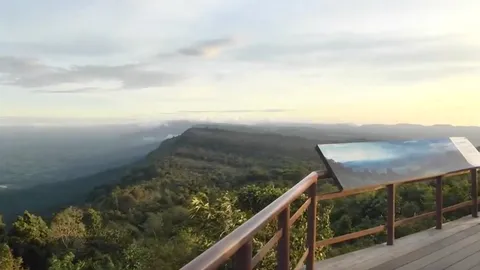 ภูแลนคา จ.ชัยภูมิ เปิดฤดูท่องเที่ยว อุณหภูมิเหลือ 19 องศา นทท.เจอทะเลหมอกผาหัวนาคเต็มขุนเขา